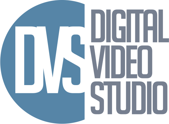 Logo dvs png